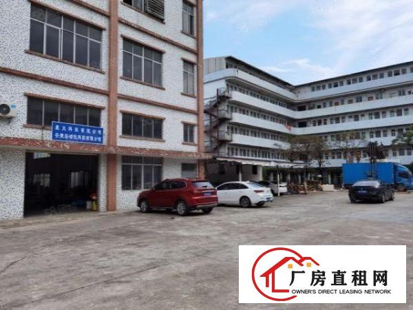  寮步新出原房东独院厂房红本可办环评有消防水电装修
