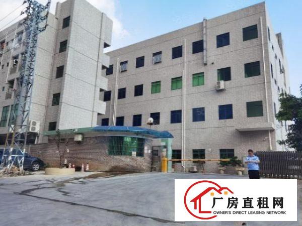  寮步新出原房东独院厂房红本可办环评有消防水电装修