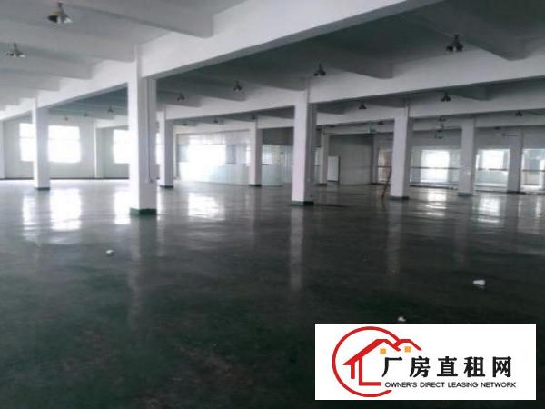  寮步镇新出独院厂房出租，每层3300平方大小可分