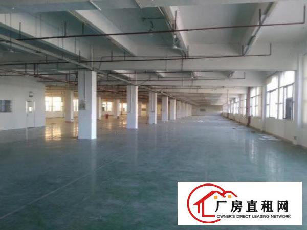  新出地坪漆车间800平方，1200平方，2000平方出租