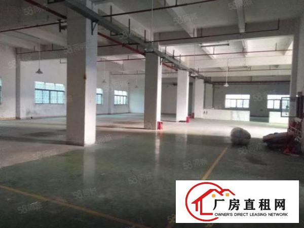  寮步上屯厂房一楼，楼上各900平，1500平方，价钱便宜