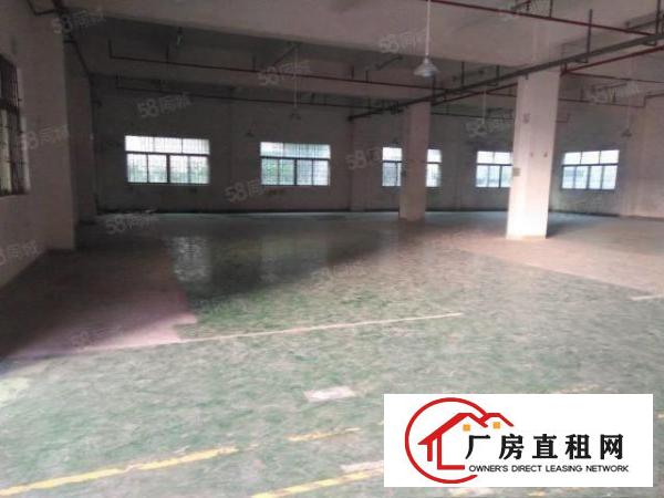  寮步上屯厂房一楼，楼上各900平，1500平方，价钱便宜