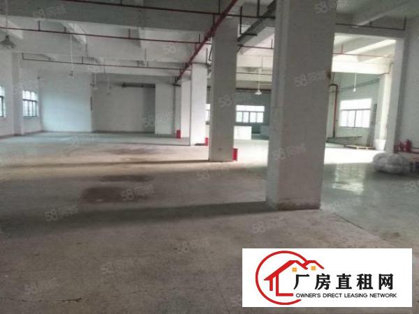  寮步上屯厂房一楼，楼上各900平，1500平方，价钱便宜