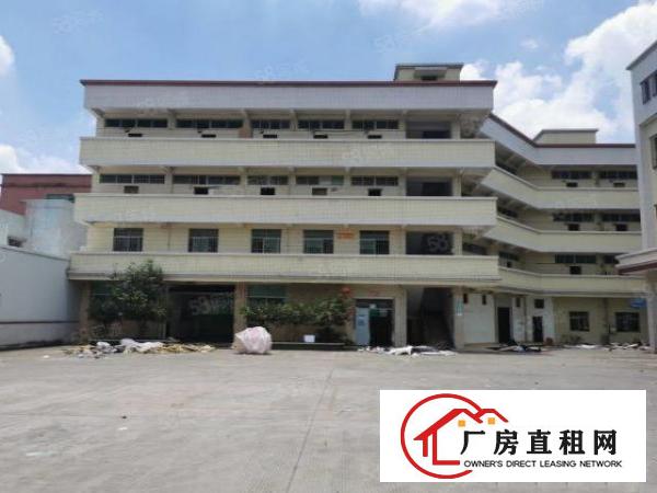  靠松山湖独门独院标准厂房出租可分租独立办公楼工业用地易招工