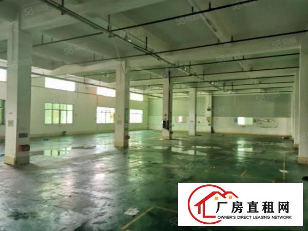  靠松山湖独门独院标准厂房出租可分租独立办公楼工业用地易招工