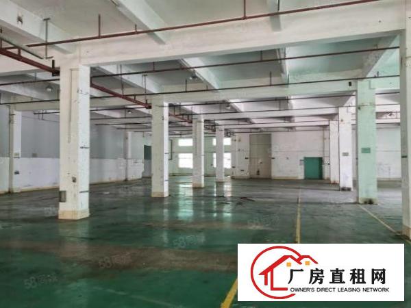  靠松山湖独门独院标准厂房出租可分租独立办公楼工业用地易招工