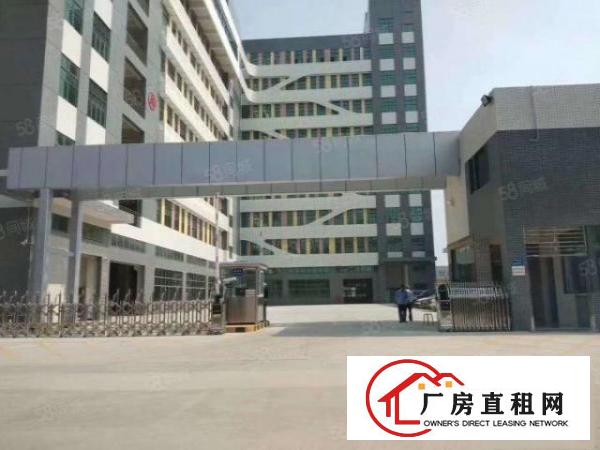  寮步镇松山湖旁全新重工业厂房出租一楼二楼各5200平方