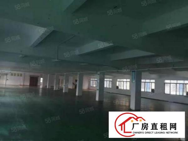  寮步竹园带地坪漆标准分租500平方现成装修