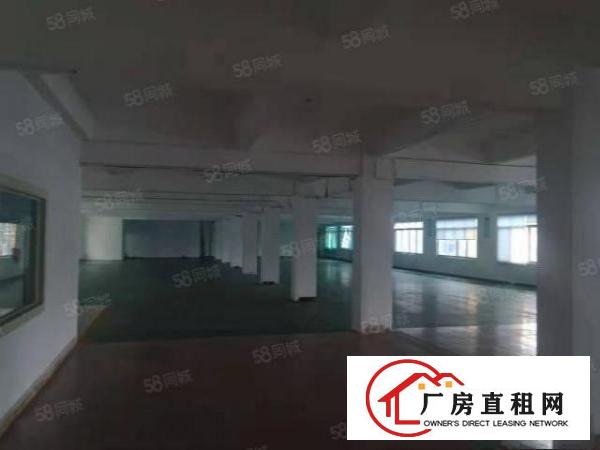  寮步竹园带地坪漆标准分租500平方现成装修