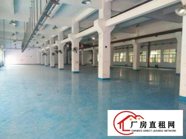  独院厂房出租，厂房5800平方，宿舍1500平方办公楼700