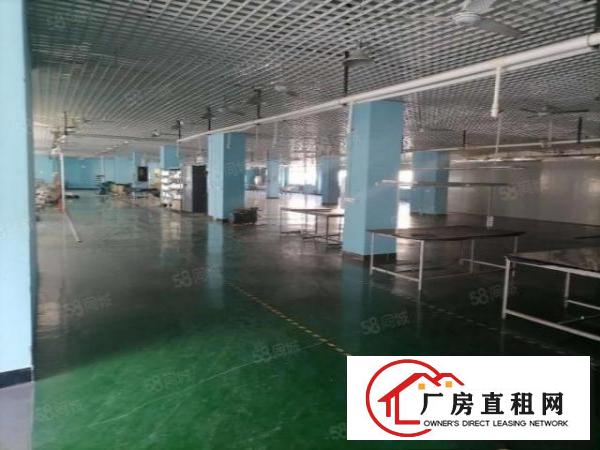  寮步镇原房东标准厂房1到4层精装修出租
