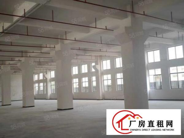  寮步高新产业园全新厂房独立办公楼，层高7米带牛角各种证件齐全