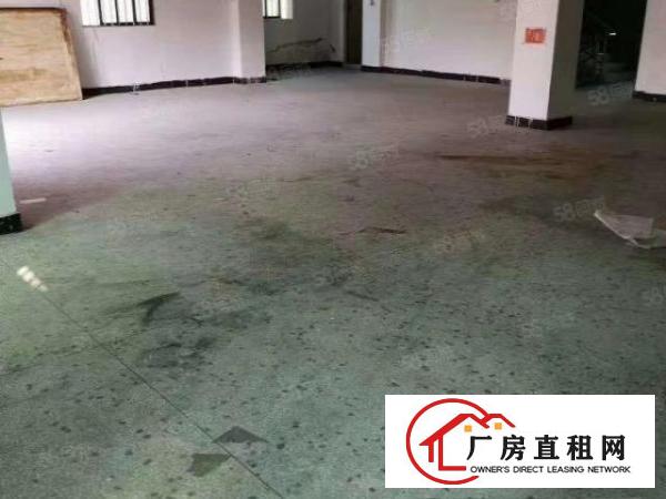  寮步下岭贝新出原房东一楼500平实际面积低价出租