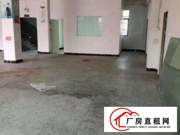  寮步下岭贝新出原房东一楼500平实际面积低价出租
