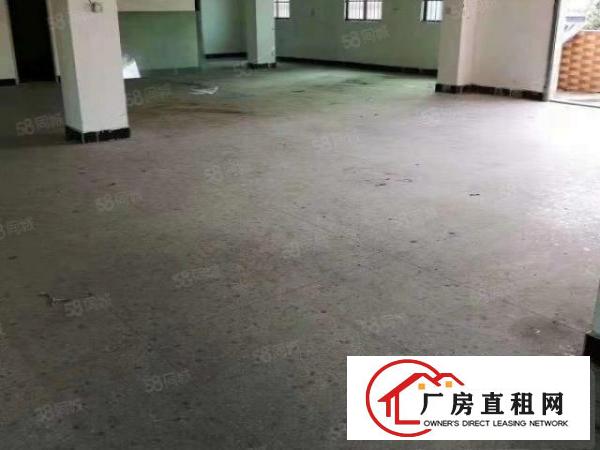  寮步下岭贝新出原房东一楼500平实际面积低价出租