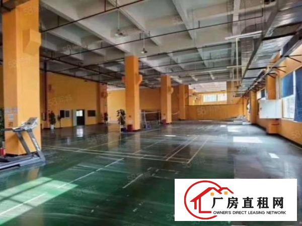  寮步华南工业区新出16850平形象好独院厂房