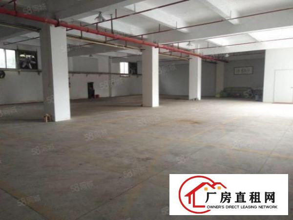  寮步横坑仓库310平，590平，1100平几个仓库仓库