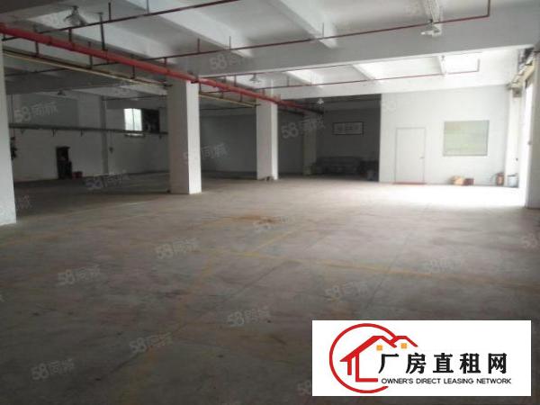  寮步横坑仓库310平，590平，1100平几个仓库仓库