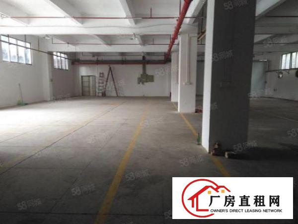  寮步横坑仓库310平，590平，1100平几个仓库仓库