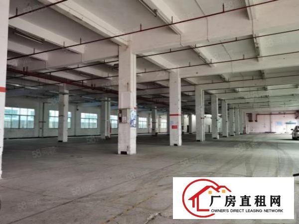  寮步镇药勒工业区原房东分租楼上整层1800平方，有消防喷淋，