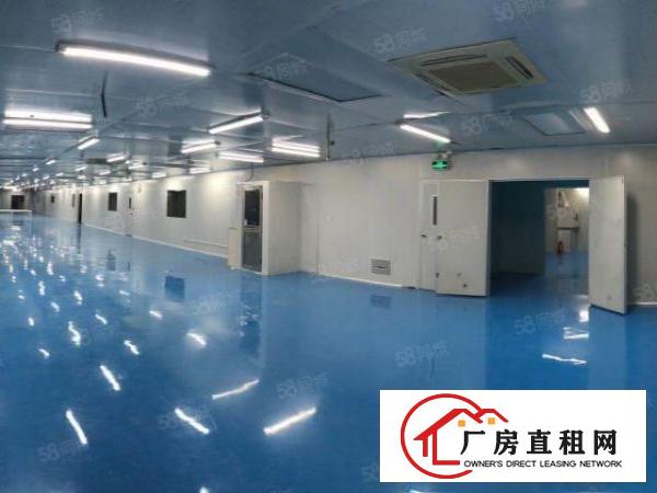  寮步镇新出十万级无尘车间，工业园大气漂亮，无转让费