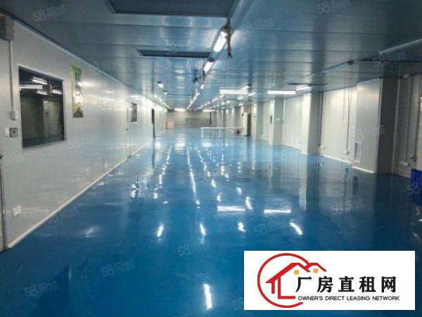  寮步镇新出十万级无尘车间，工业园大气漂亮，无转让费