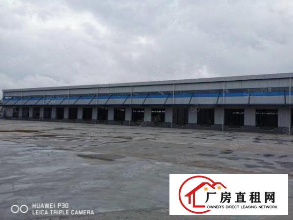  标准单一层物流仓带卸货平台3万平方可分租空地大交通方便