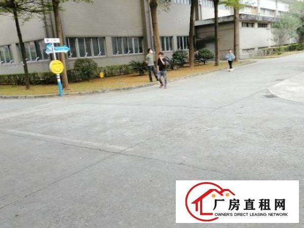  东莞市大岭山寮步镇及周边镇区单一层厂房出租，高标仓，仓库出租