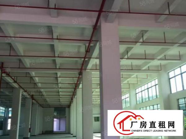  寮步标准重工业厂房出租一楼面积2500平高6.5米带牛角