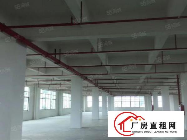  寮步标准重工业厂房出租一楼面积2500平高6.5米带牛角