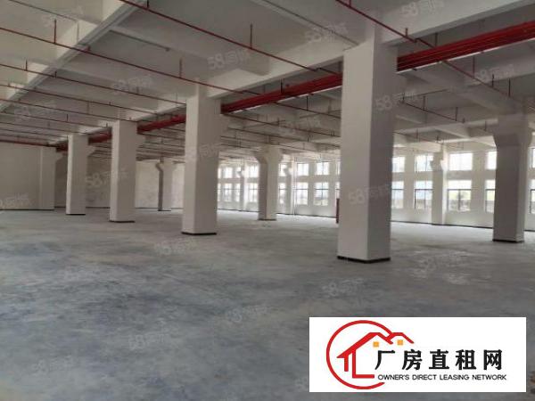  全新厂房独立办公楼首层7米高带牛角消防喷淋重工业厂房