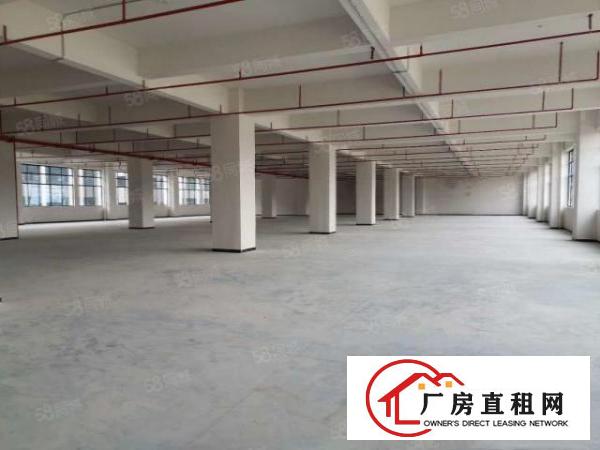  全新厂房独立办公楼首层7米高带牛角消防喷淋重工业厂房