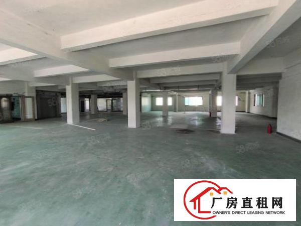  东莞汽车东站旁新出二楼1000平方，有6间办公室，配2吨货梯