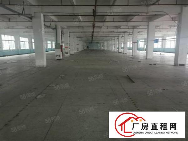  寮步新空出原房东1200平厂房低价出租