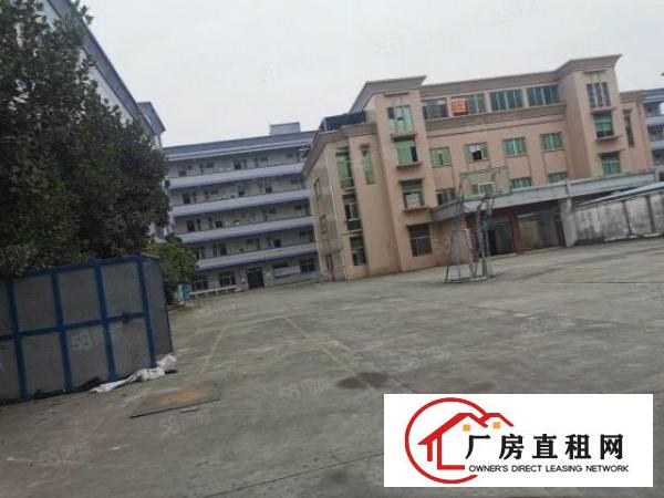  寮步新空出原房东1200平厂房低价出租