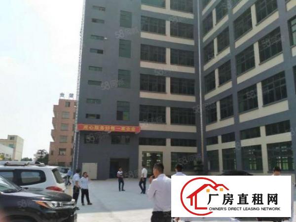  寮步一楼原房东红本厂房3000平方出租带牛角可分租可办环评