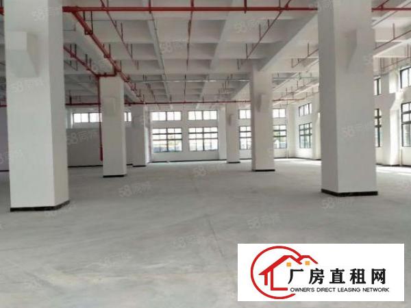  寮步一楼原房东红本厂房3000平方出租带牛角可分租可办环评