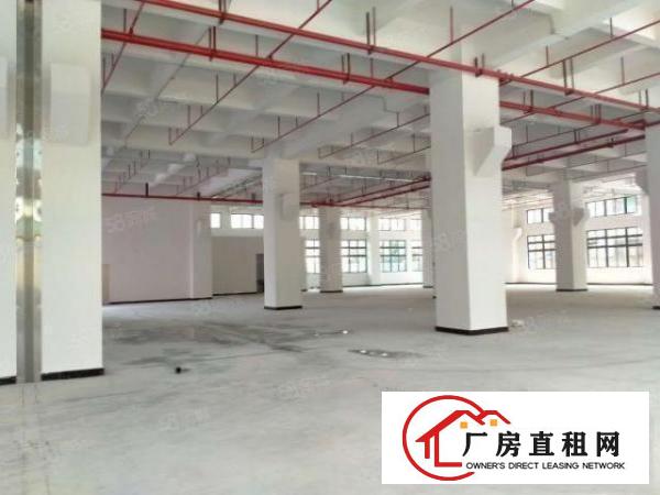  寮步一楼原房东红本厂房3000平方出租带牛角可分租可办环评