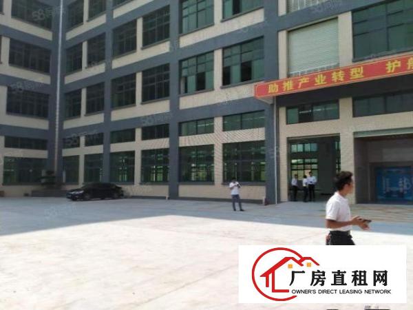  寮步一楼原房东红本厂房3000平方出租带牛角可分租可办环评