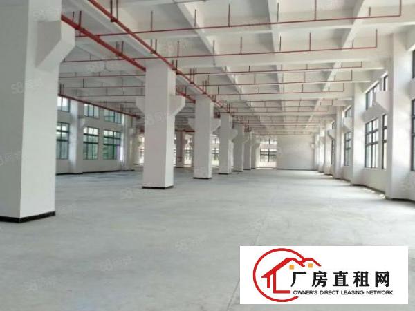  寮步一楼原房东红本厂房3000平方出租带牛角可分租可办环评