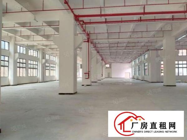  寮步一楼原房东红本厂房3000平方出租带牛角可分租可办环评