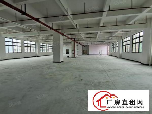  原房东出租新厂房二楼650平方米有电梯