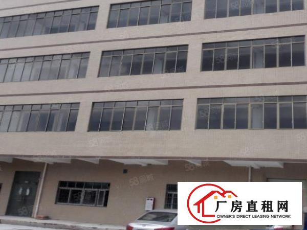  原房东出租新厂房二楼650平方米有电梯