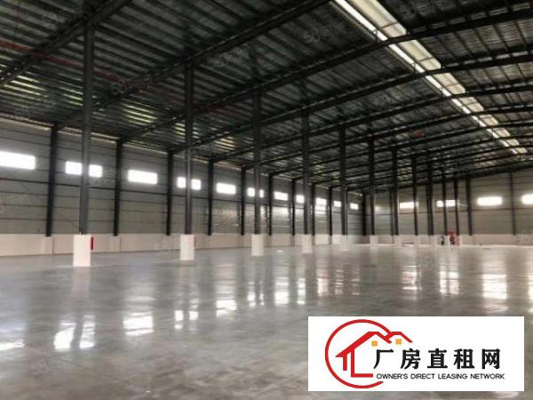  寮步上底新出单一层钢构厂房2480方，带卸货平台，可分租！