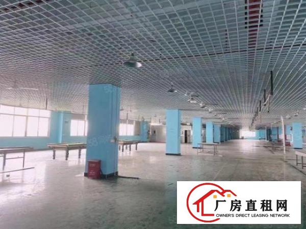  寮步镇原房东出租厂房现成装修水电齐全形象漂亮价格便宜可办环坪