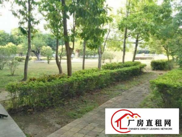  证件齐全，带地坪漆寮步新出单一层钢结构厂房1000平方出租