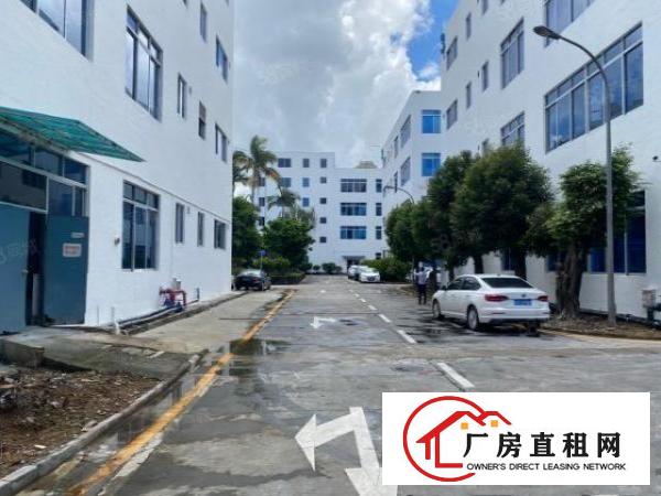  寮步嘉顿工业园2万平厂房出租精装修一楼仓房500平起分租