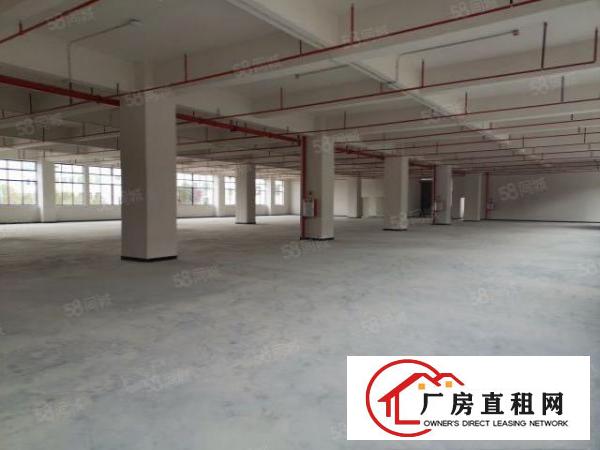  全新厂房独立综合楼消防喷淋首层7米带牛角可整租可分租