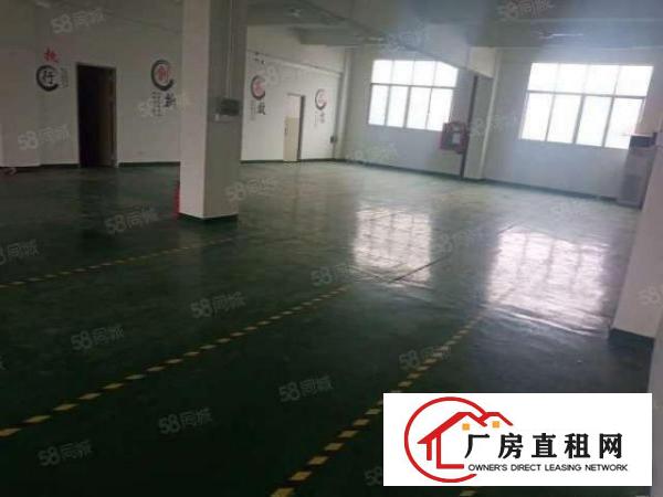  寮步石步原房东标准厂房分租500平方现成装修.