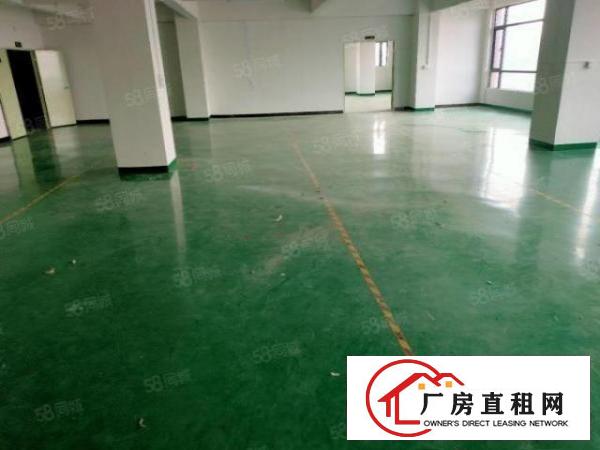  寮步横坑村委产业园厂房800带宿舍交通便利好招工